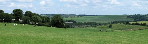 Panorama