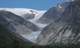 Nigardsbreen (gletsjer)