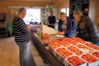 Bij binnenkomst in Xanten zien we een grote fruitkraam; nog even wat inkopen doen!