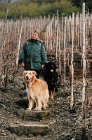 Femma in een nog kale wijngaard in het Ahrdal, met onze honden Bas (achteraan) en Bykje (vooraan).