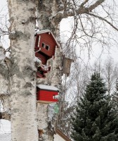 Vogelhuisjes...