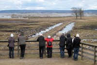 Een uitzichtpunt van waaruit je de vogels kunt observeren.