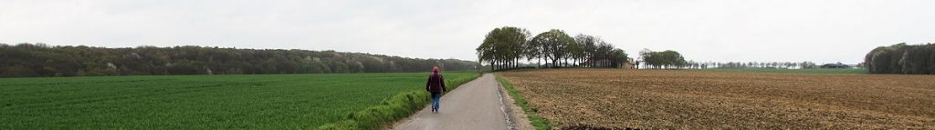 Wandelen over het plataeu, de Gulpener Berg.