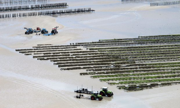 De mosselkwekers aan het werk op de zeebodem. Het is zaak op tijd te vertrekken!