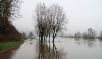 De eigenlijke camperplaats, gezien vanaf de veerboot...