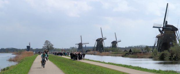 Busladingen buitenlandse toeristen bij de molens...