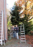 Herman en ik bezig met het ontmantelen van de oude mast.