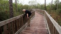 Een mooi pad door een natuurgebied met slangen en alligators...