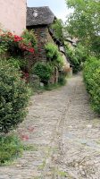 Conques: een mooi 'groen' straatje.