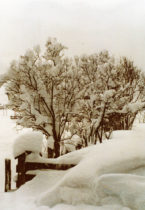 Uiteindelijk hadden we sneeuw genoeg! 