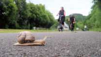 Doorlopen jongen, er komt verkeer aan!