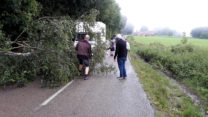 Een omgevallen berkeboom hebben we met mijn handzaagje gekortwiekt!