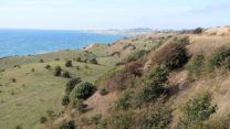 Terrassen ontstaan door aardverschuivingen (landslides).