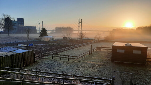 Een opkomend winterzonnetje aan de rand van de stad...