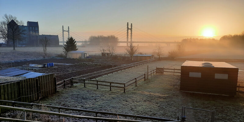 Een opkomend winterzonnetje...