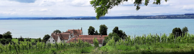 Het uitzicht over de Bodensee.