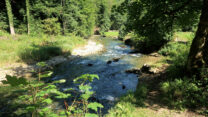 Na amper 100m is het sijpelende water al een heuse, sprankelende rivier geworden!