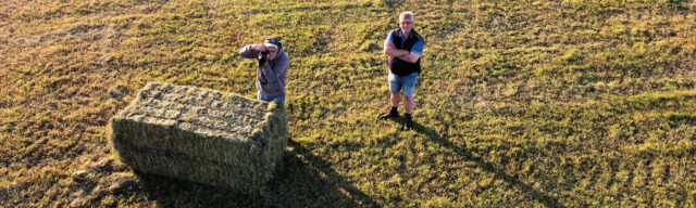 Uiteindelijk leverde het veld zo'n 10.000kg voer op! Gerrit PA2GRB en Herman PD0HF.