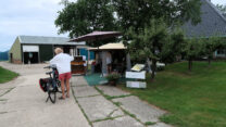 Kersen kopen bij de fruitteler zelf. De dames voor ons doen een rondje IJsselmeer op de fiets.
