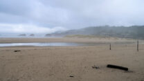 Het strand bij Cannon Beach.