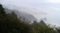 Bossen doemen op uit de mist...