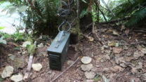 De cache die bij de gedenksteen hoort, verstopt in het bos.
