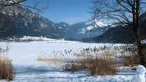 Het is nog winter in Oostenrijk, boven de 1000m.