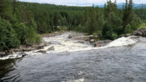 Wild stromend water, deels nog van de vele regen van de afgelopen week.