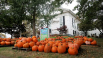 Halloween staat voor de deur: de kerk verkoopt pompoenen voor het goede doel...