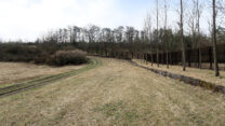 De Todesstreife: rechts het hek, links het weggetje voor de grenspolitie. De bomen zijn sinds de jaren '90 aangeplant.