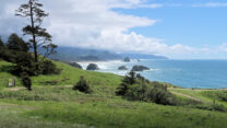 Het uitzicht op Cannon Beach vanaf Ecola State Park.